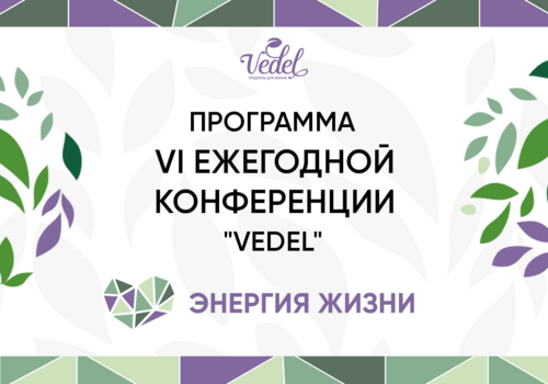 Программа VI Ежегодной конференции «Vedel»