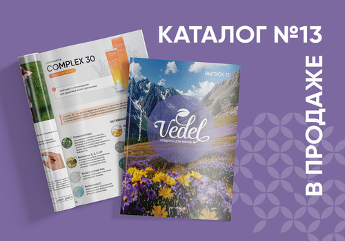 В продаже Каталог №13