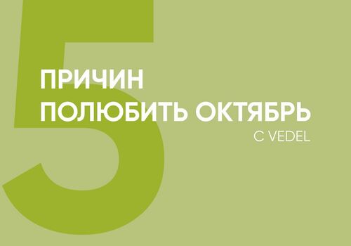 5 причин полюбить октябрь с Vedel