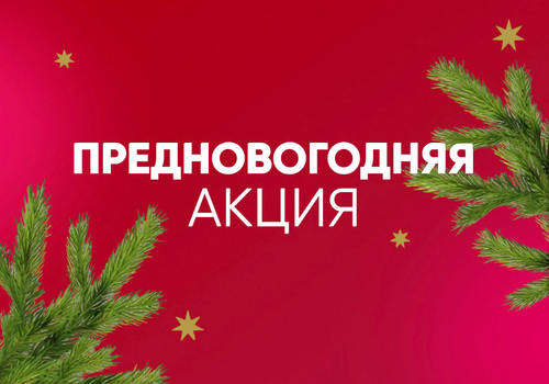 ПРЕДНОВОГОДНЯЯ АКЦИЯ