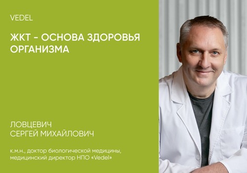 Почему здоровье организма начинается именно с ЖКТ