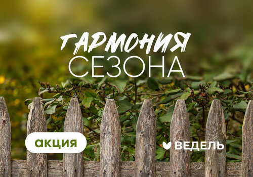 «Гармония сезона» — ваш организм готов к лету?