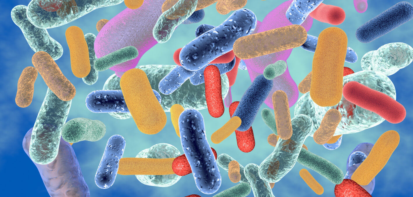 Живые бактерии название. Микробиом кишечника. Пробиотические микроорганизмы. Микробиом человека. Ядро микробиоты.